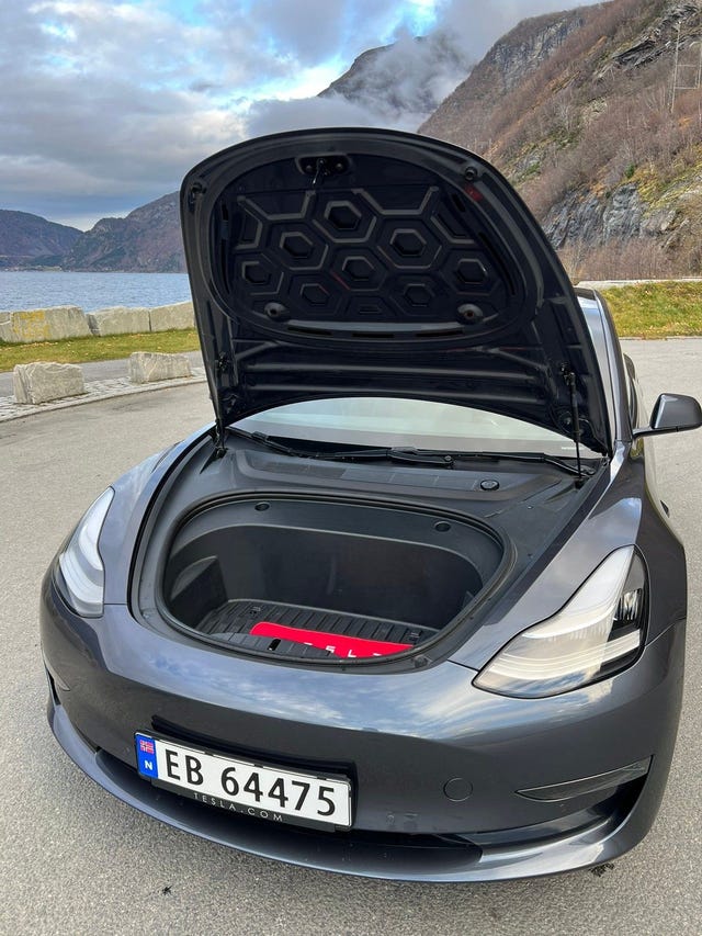 2021 TESLA MODEL 3 - 8