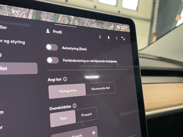 2021 TESLA MODEL 3 - 13
