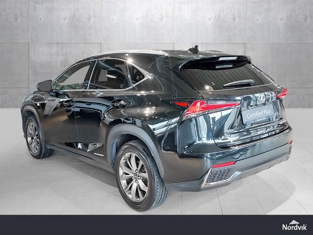 JTJBJRBZ502112591 2019 LEXUS NX 300H-2