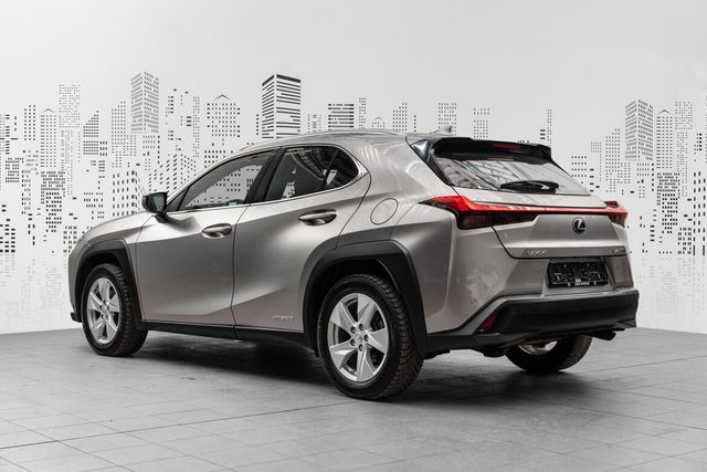 2019 LEXUS UX - 5