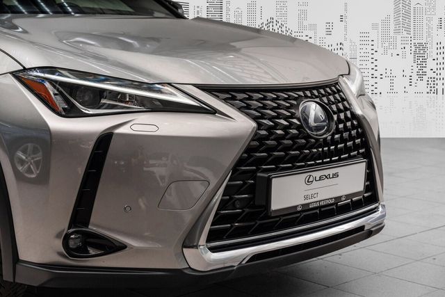 2019 LEXUS UX - 3