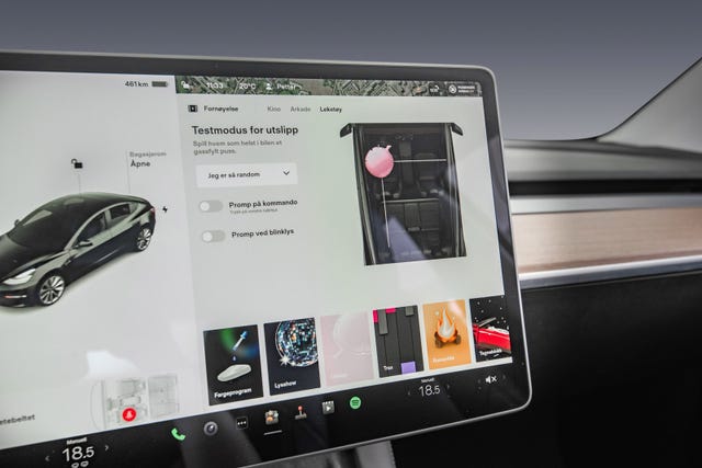2021 TESLA MODEL 3 - 34