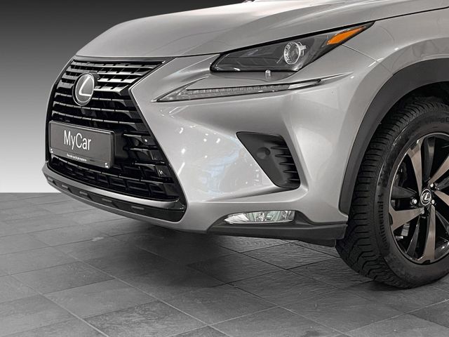 JTJBJRBZ702132227 2019 LEXUS NX 300H-5