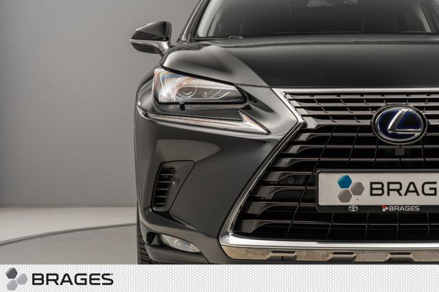 2020 LEXUS NX 300H - 8