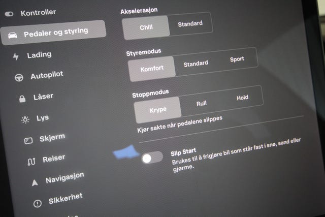 2021 TESLA MODEL 3 - 25