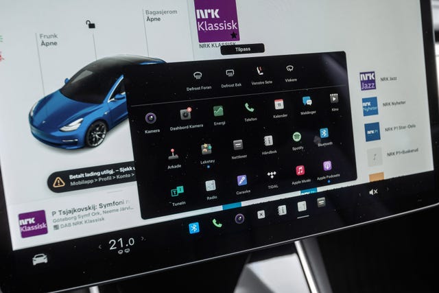 2019 TESLA MODEL 3 - 29