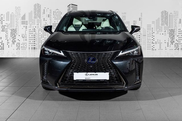 JTHU95BH802017624 2019 LEXUS UX-1