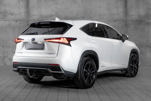 2018 LEXUS NX 300H - 5