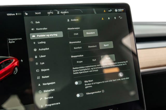 2021 TESLA MODEL 3 - 19