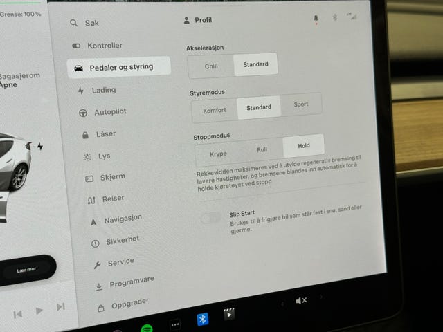 2021 TESLA MODEL 3 - 19