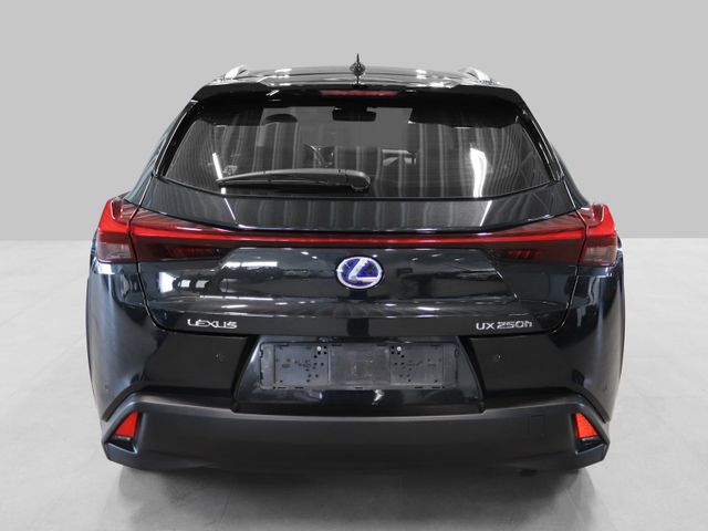 2019 LEXUS UX - 7