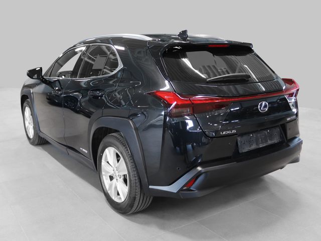 JTHU95BH402014946 2019 LEXUS UX-4