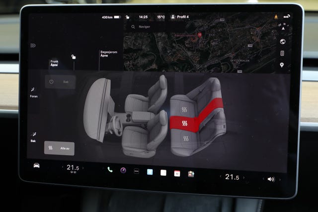 2021 TESLA MODEL 3 - 25