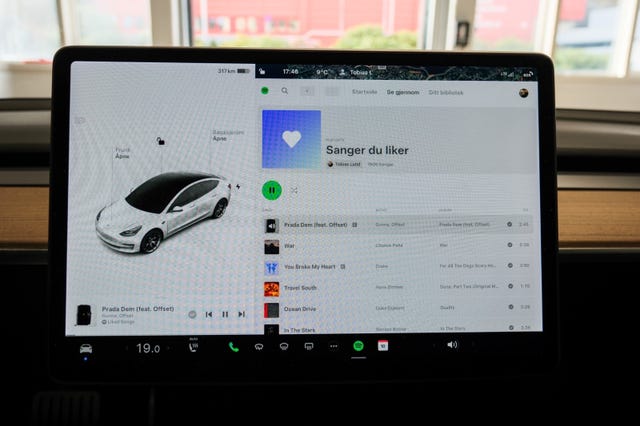 2021 TESLA MODEL 3 - 33