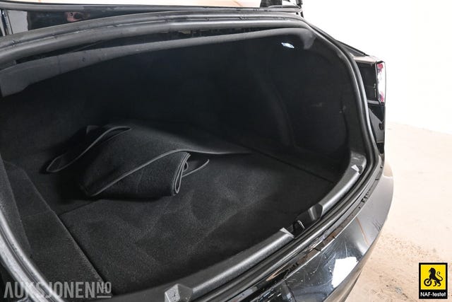 2021 TESLA MODEL 3 - 15