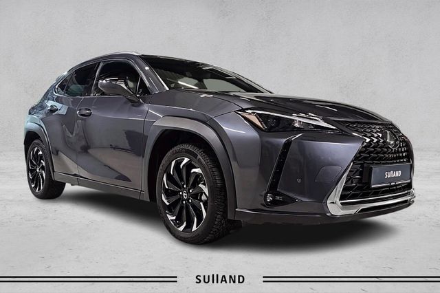 2022 LEXUS UX - 7