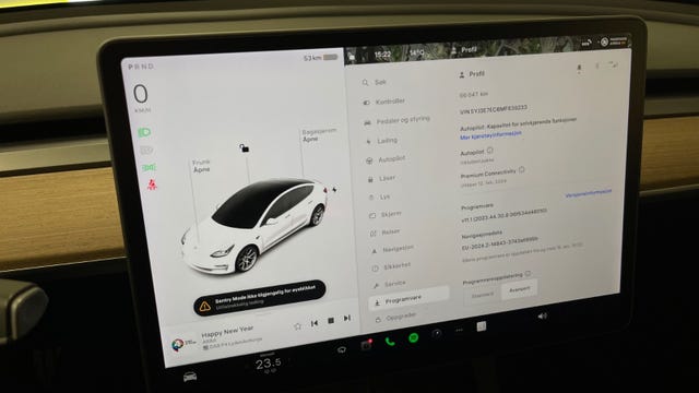 2021 TESLA MODEL 3 - 30