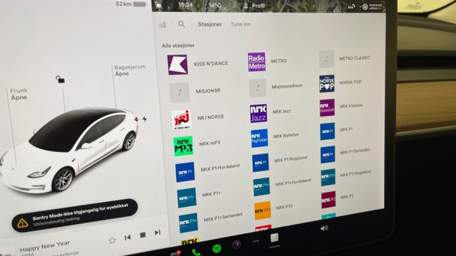 2021 TESLA MODEL 3 - 35