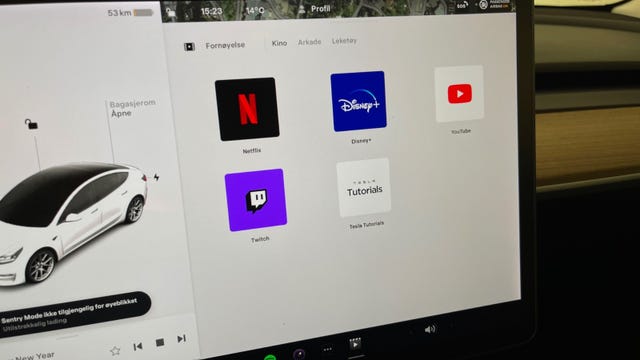 2021 TESLA MODEL 3 - 32