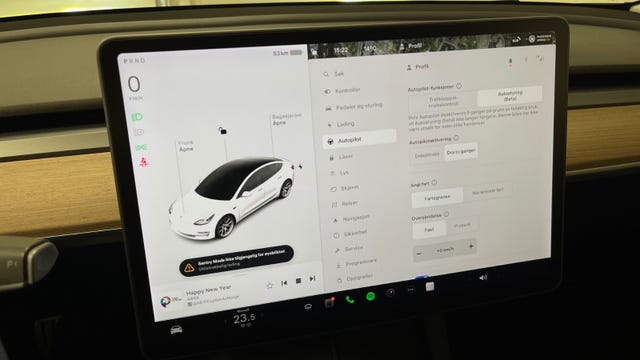 2021 TESLA MODEL 3 - 29