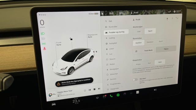 2021 TESLA MODEL 3 - 28