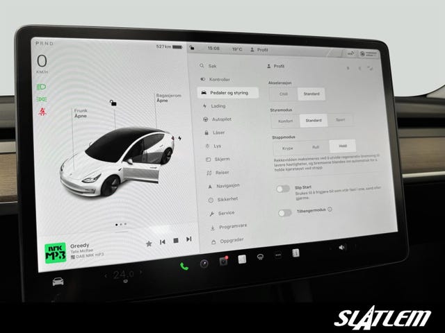 2021 TESLA MODEL 3 - 18