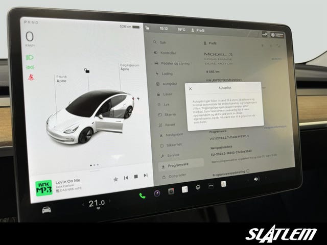 2021 TESLA MODEL 3 - 19