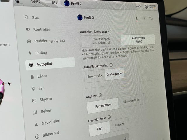 2021 TESLA MODEL 3 - 19