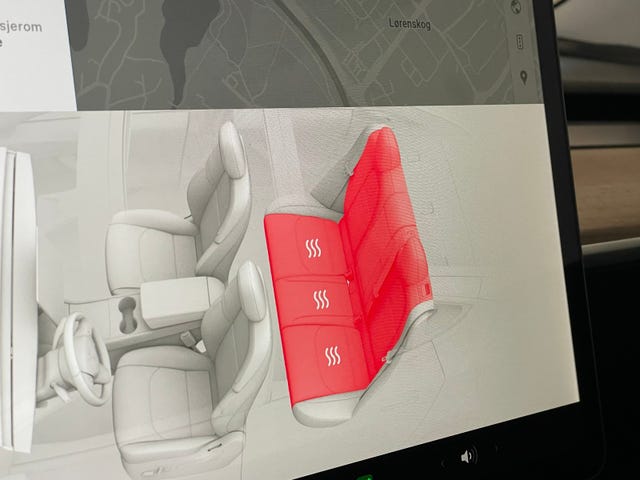 2021 TESLA MODEL 3 - 23