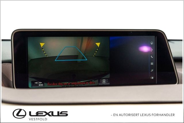 2016 LEXUS RX450H - 19