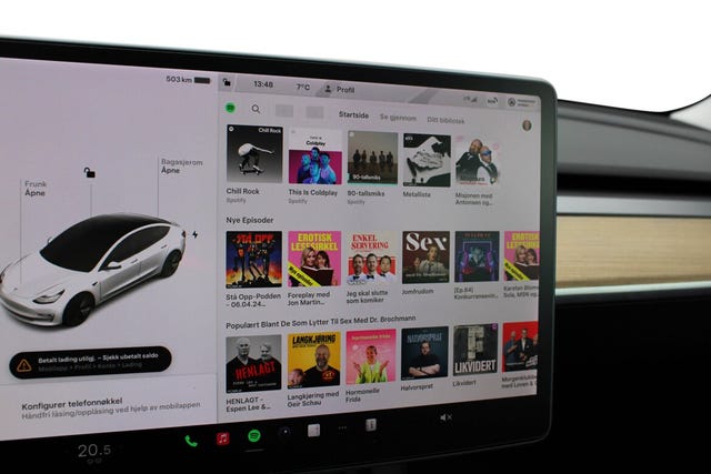 2021 TESLA MODEL 3 - 22