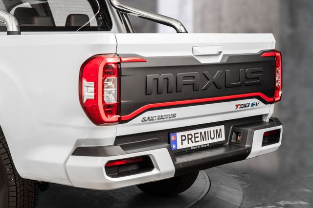 2022 MAXUS T90 EV - 6