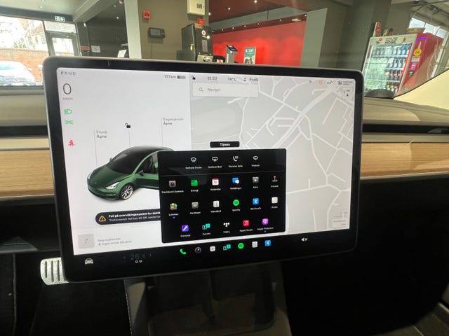 2021 TESLA MODEL 3 - 18