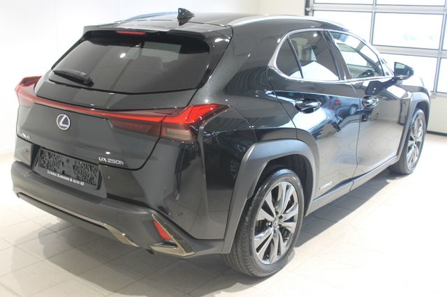 2020 LEXUS UX - 18