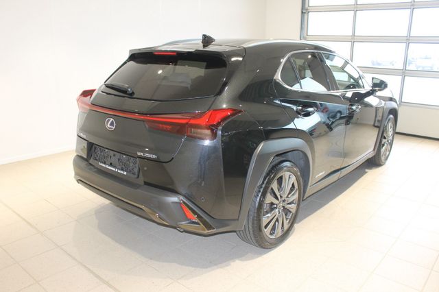 2020 LEXUS UX - 20