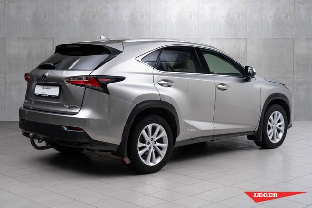 JTJBJRBZ802009410 2015 LEXUS NX 300H-4