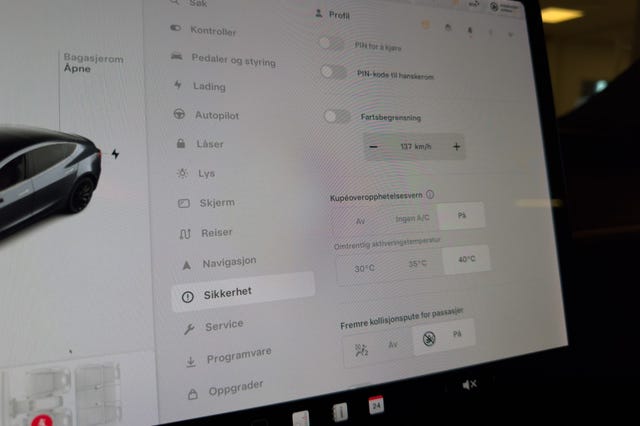 2019 TESLA MODEL 3 - 29