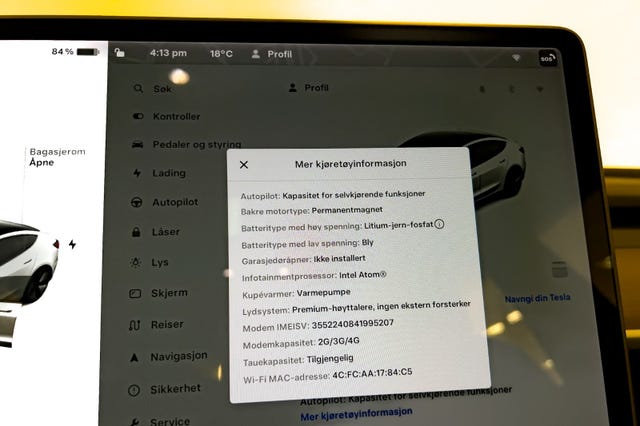 2021 TESLA MODEL 3 - 20