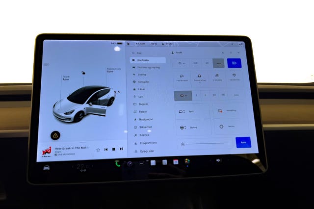 2021 TESLA MODEL 3 - 23