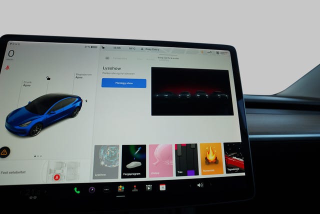2021 TESLA MODEL 3 - 23