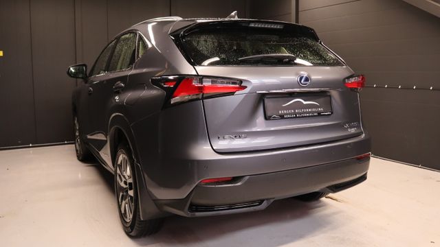 2015 LEXUS NX 300H - 4