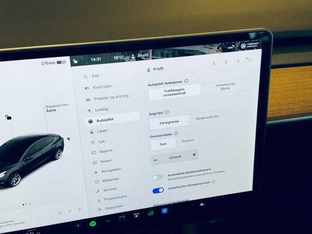 2021 TESLA MODEL 3 - 20