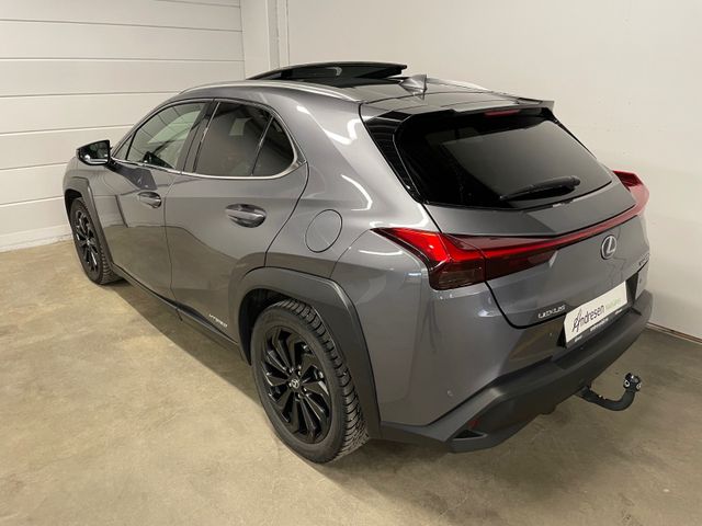 JTHY65BH302029190 2019 LEXUS UX-2