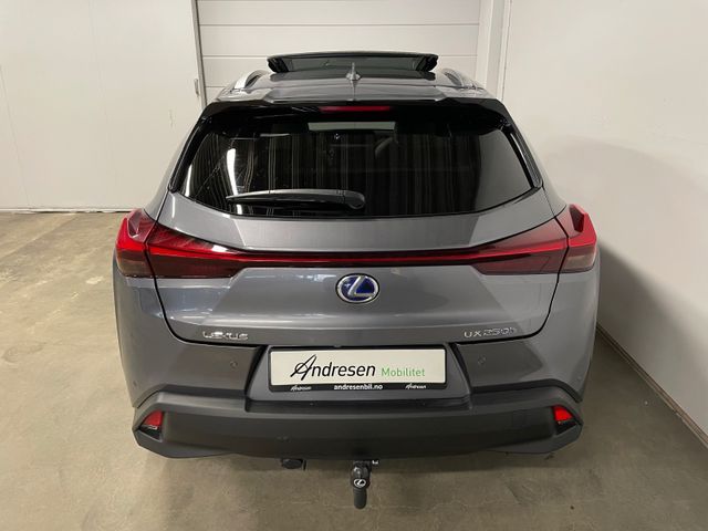 JTHY65BH302029190 2019 LEXUS UX-3