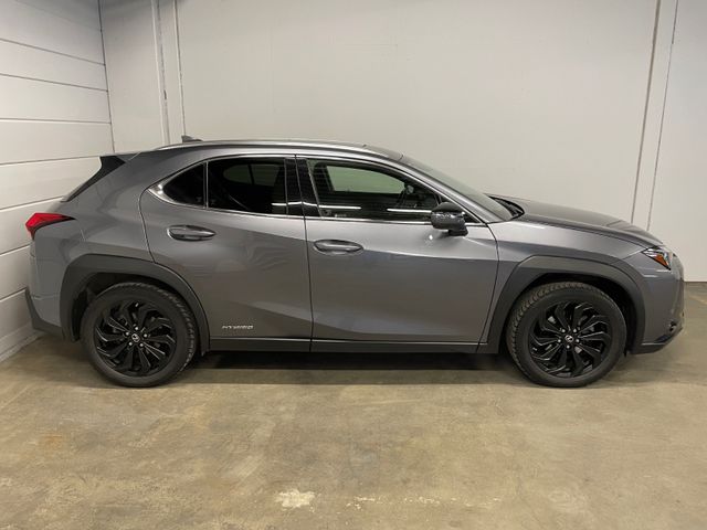 JTHY65BH302029190 2019 LEXUS UX-4