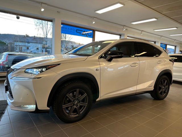 2015 LEXUS NX 300H - 15