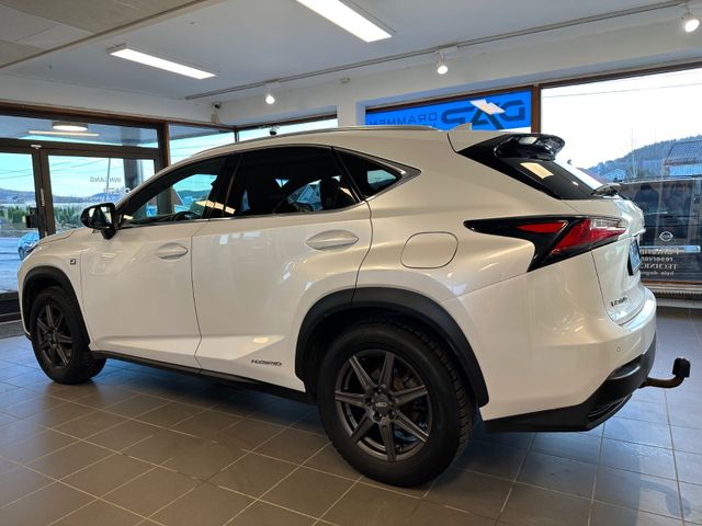 2015 LEXUS NX 300H - 11