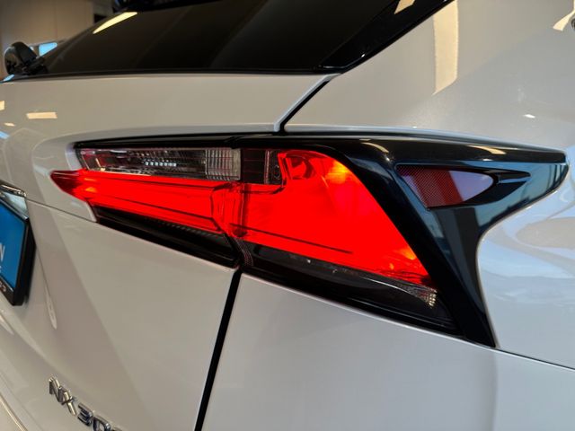 2015 LEXUS NX 300H - 24