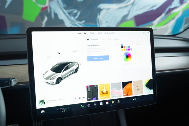 2021 TESLA MODEL 3 - 25