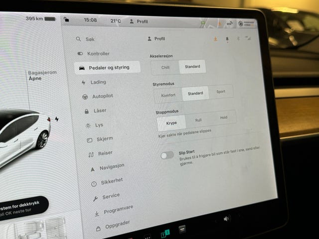 2021 TESLA MODEL 3 - 16
